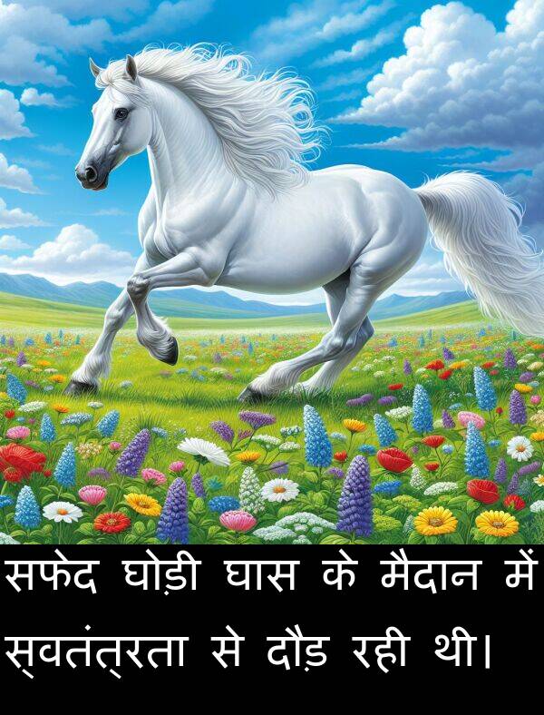 सफेद: सफेद घोड़ी घास के मैदान में स्वतंत्रता से दौड़ रही थी।