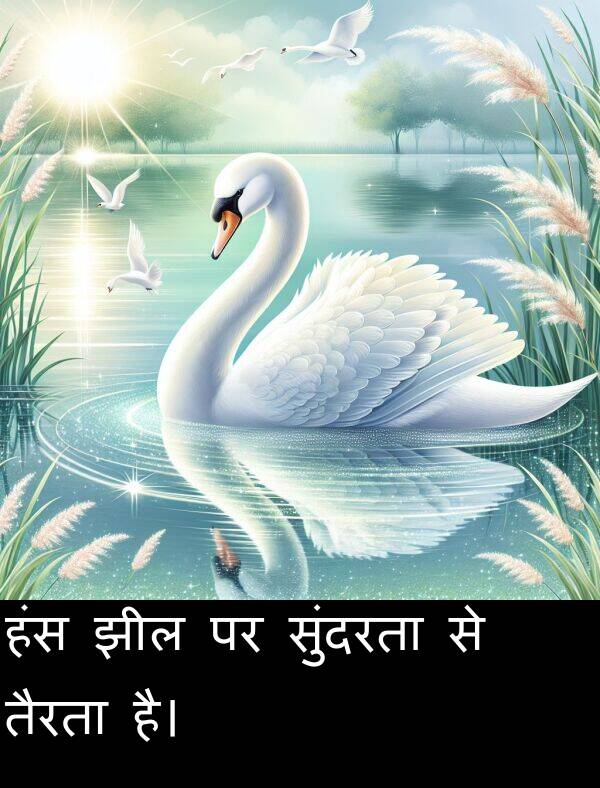 तैरता: हंस झील पर सुंदरता से तैरता है।