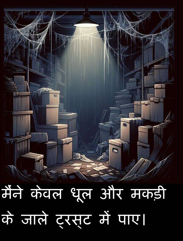 धूल: मैंने केवल धूल और मकड़ी के जाले ट्रस्ट में पाए।