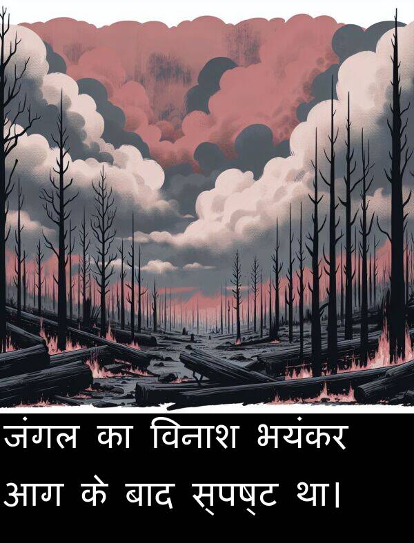 भयंकर: जंगल का विनाश भयंकर आग के बाद स्पष्ट था।