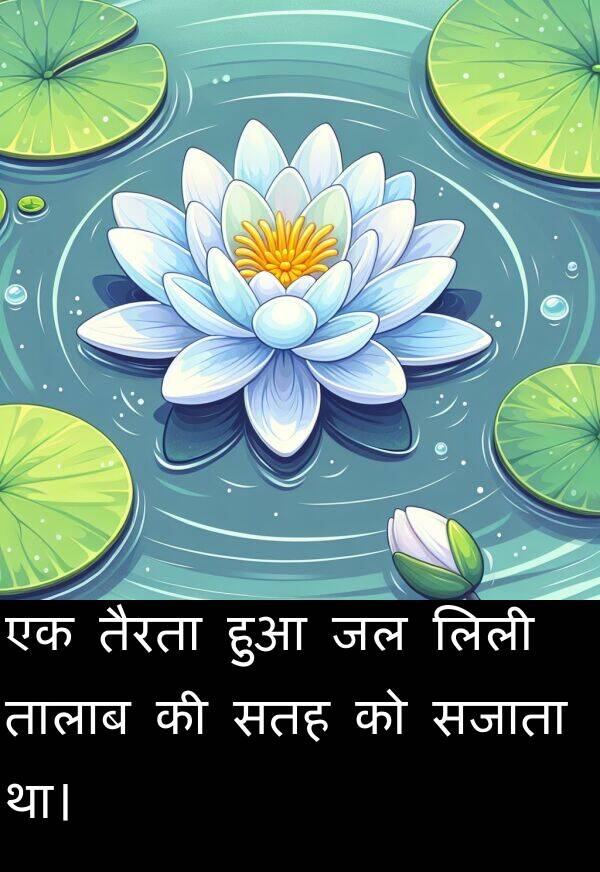 लिली: एक तैरता हुआ जल लिली तालाब की सतह को सजाता था।
