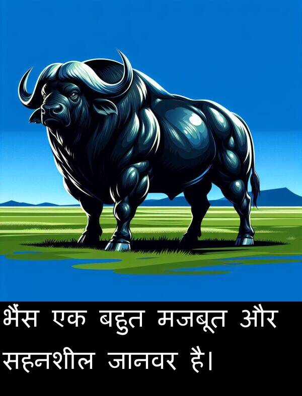 भैंस: भैंस एक बहुत मजबूत और सहनशील जानवर है।