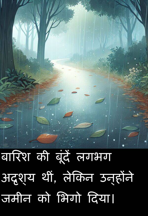 लेकिन: बारिश की बूंदें लगभग अदृश्य थीं, लेकिन उन्होंने जमीन को भिगो दिया।