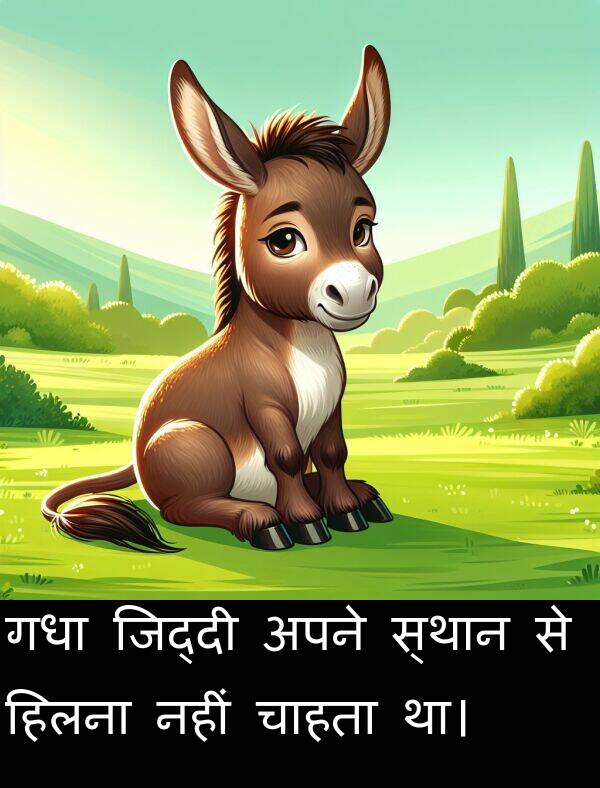 चाहता: गधा जिद्दी अपने स्थान से हिलना नहीं चाहता था।