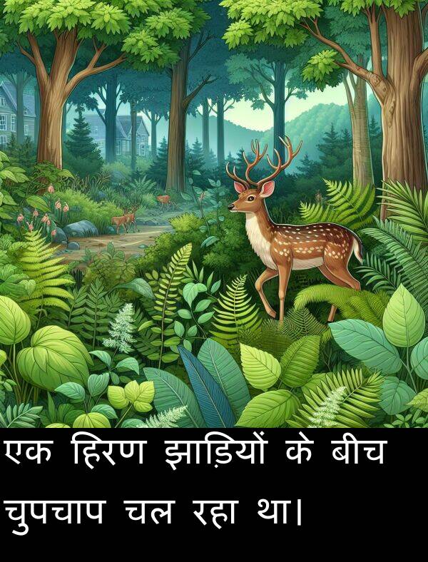 हिरण: एक हिरण झाड़ियों के बीच चुपचाप चल रहा था।