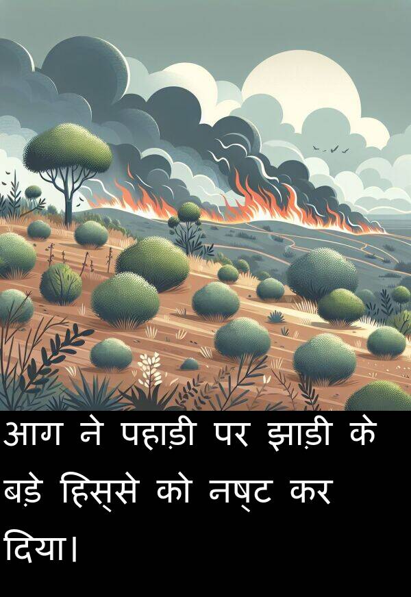 पहाड़ी: आग ने पहाड़ी पर झाड़ी के बड़े हिस्से को नष्ट कर दिया।