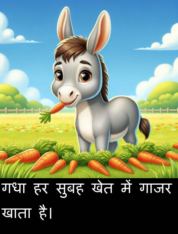 खेत: गधा हर सुबह खेत में गाजर खाता है।
