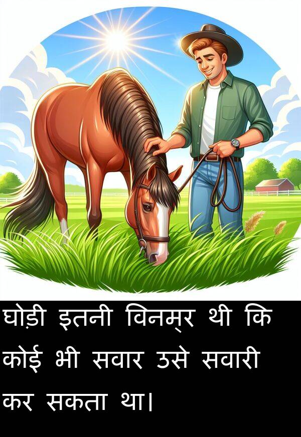 सकता: घोड़ी इतनी विनम्र थी कि कोई भी सवार उसे सवारी कर सकता था।
