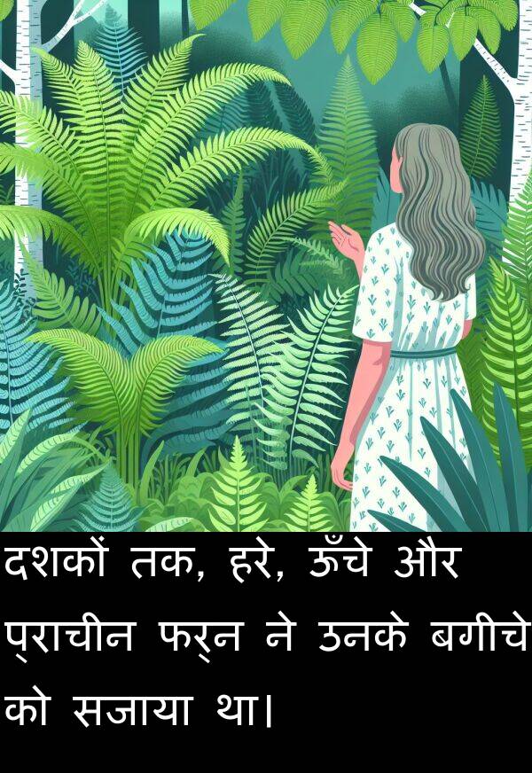 उनके: दशकों तक, हरे, ऊँचे और प्राचीन फर्न ने उनके बगीचे को सजाया था।