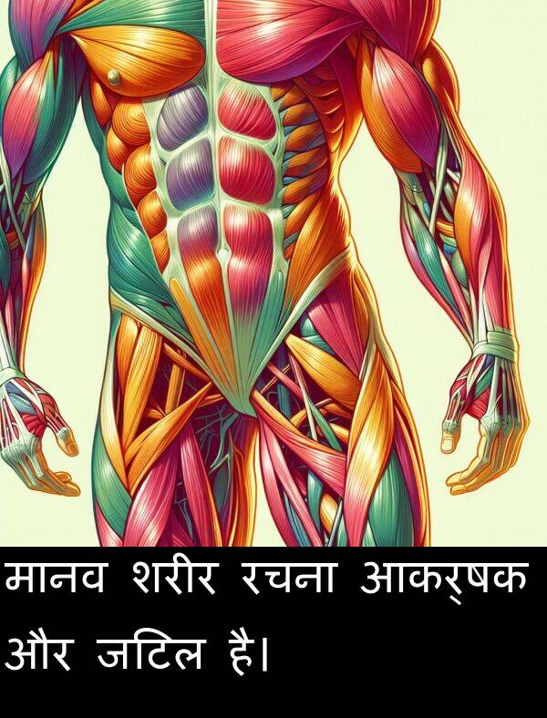 आकर्षक: मानव शरीर रचना आकर्षक और जटिल है।