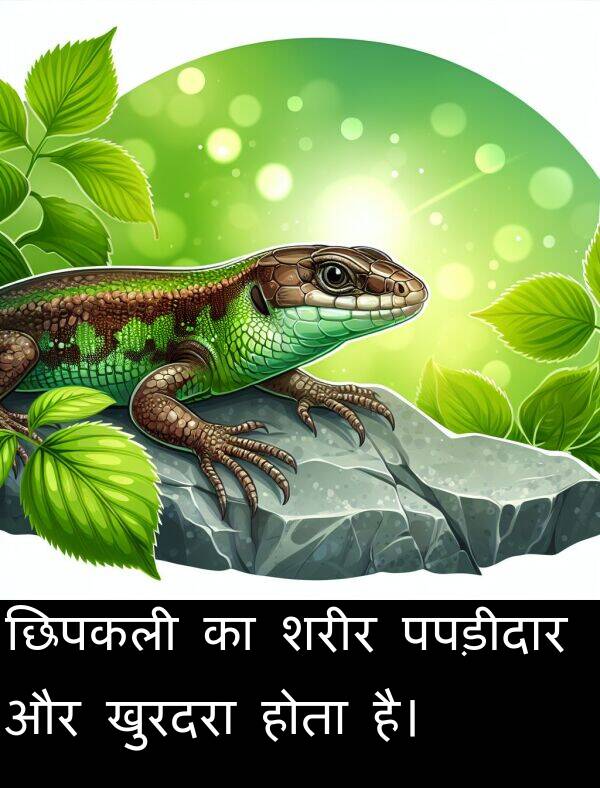 छिपकली: छिपकली का शरीर पपड़ीदार और खुरदरा होता है।