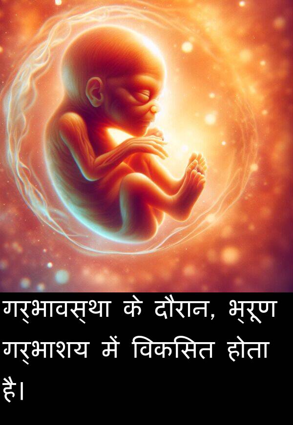 गर्भावस्था: गर्भावस्था के दौरान, भ्रूण गर्भाशय में विकसित होता है।