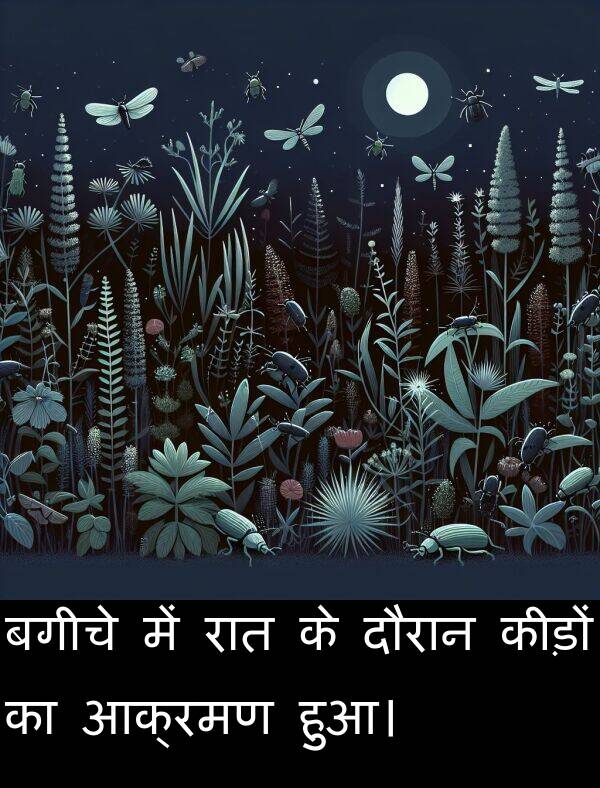 आक्रमण: बगीचे में रात के दौरान कीड़ों का आक्रमण हुआ।