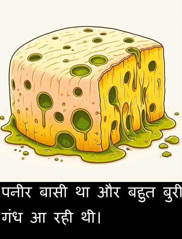 पनीर: पनीर बासी था और बहुत बुरी गंध आ रही थी।