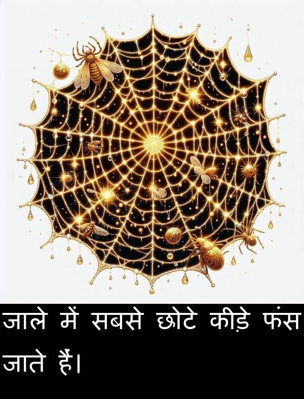 छोटे: जाले में सबसे छोटे कीड़े फंस जाते हैं।