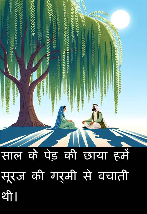 गर्मी: साल के पेड़ की छाया हमें सूरज की गर्मी से बचाती थी।