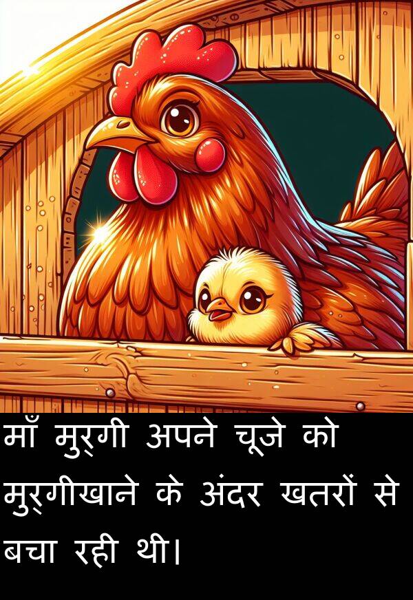 खतरों: माँ मुर्गी अपने चूजे को मुर्गीखाने के अंदर खतरों से बचा रही थी।