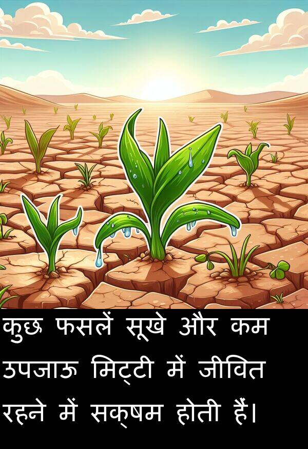 उपजाऊ: कुछ फसलें सूखे और कम उपजाऊ मिट्टी में जीवित रहने में सक्षम होती हैं।