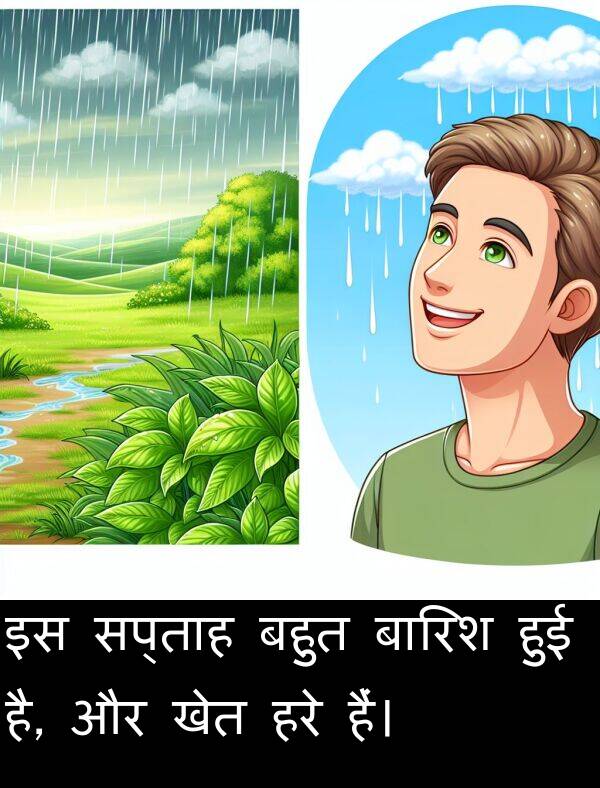 खेत: इस सप्ताह बहुत बारिश हुई है, और खेत हरे हैं।