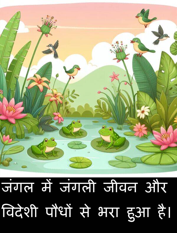 भरा: जंगल में जंगली जीवन और विदेशी पौधों से भरा हुआ है।