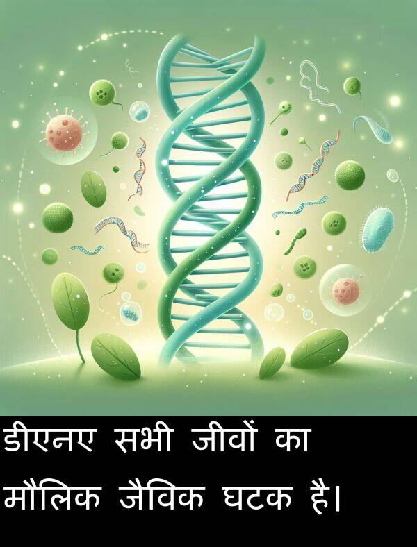 घटक: डीएनए सभी जीवों का मौलिक जैविक घटक है।