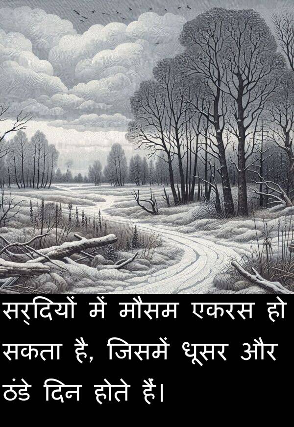 धूसर: सर्दियों में मौसम एकरस हो सकता है, जिसमें धूसर और ठंडे दिन होते हैं।