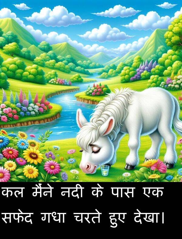 सफेद: कल मैंने नदी के पास एक सफेद गधा चरते हुए देखा।