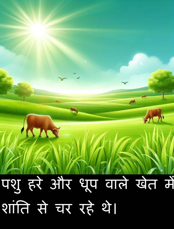 खेत: पशु हरे और धूप वाले खेत में शांति से चर रहे थे।