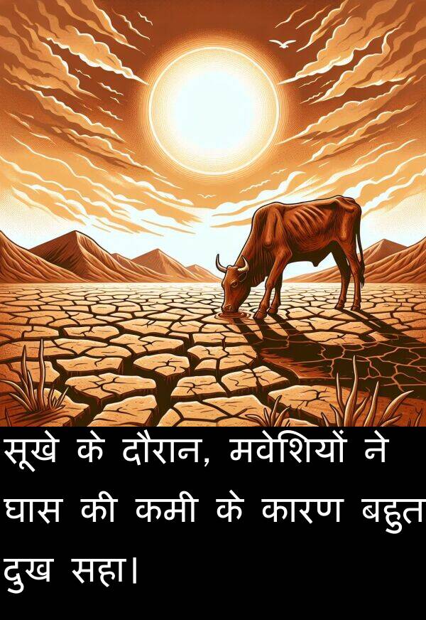 मवेशियों: सूखे के दौरान, मवेशियों ने घास की कमी के कारण बहुत दुख सहा।