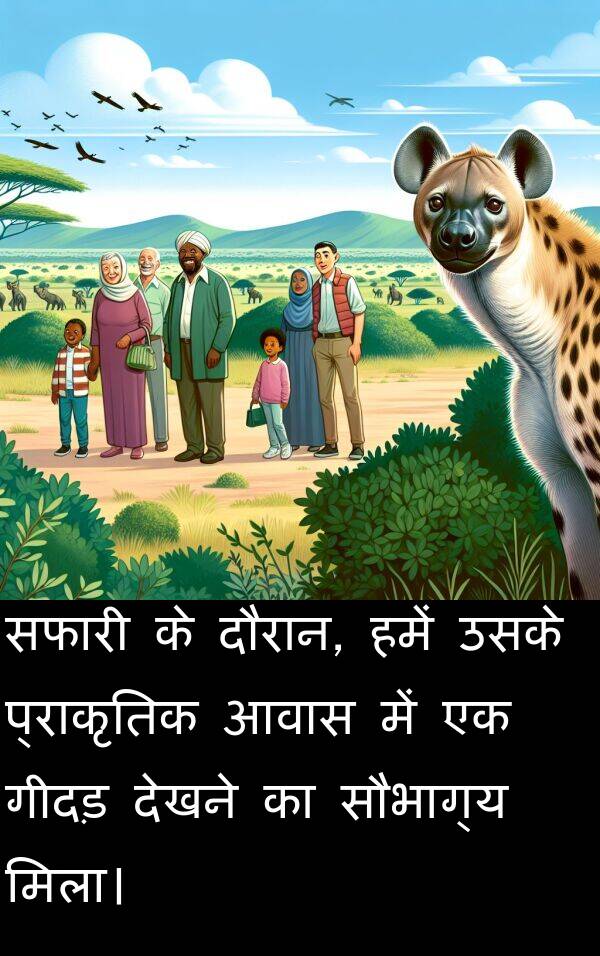 आवास: सफारी के दौरान, हमें उसके प्राकृतिक आवास में एक गीदड़ देखने का सौभाग्य मिला।