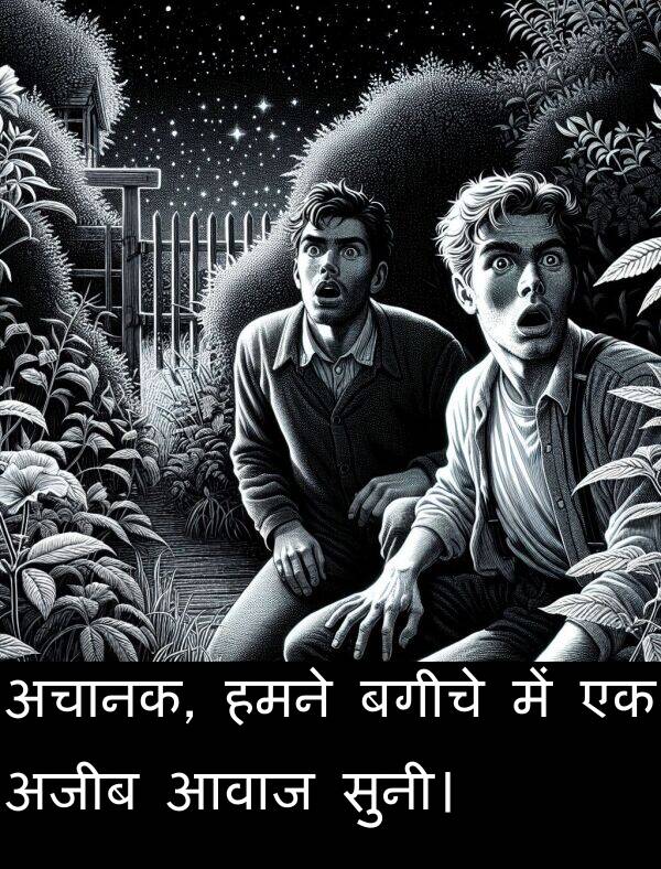 आवाज: अचानक, हमने बगीचे में एक अजीब आवाज सुनी।