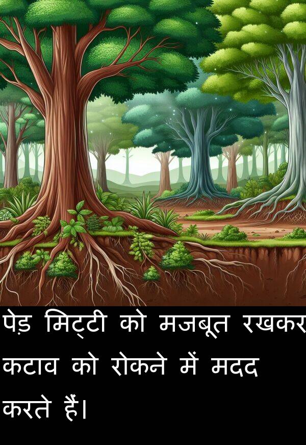 मदद: पेड़ मिट्टी को मजबूत रखकर कटाव को रोकने में मदद करते हैं।