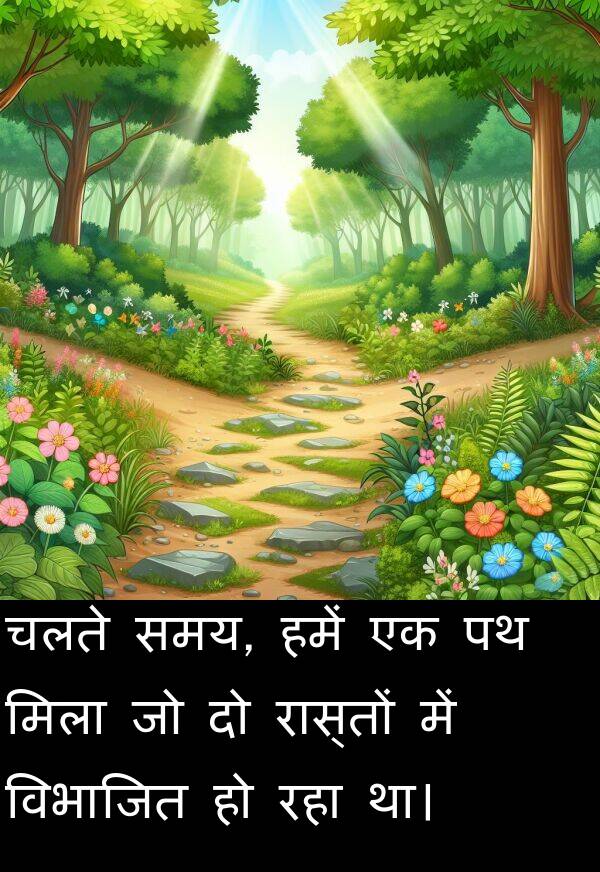 विभाजित: चलते समय, हमें एक पथ मिला जो दो रास्तों में विभाजित हो रहा था।