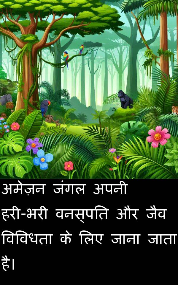 विविधता: अमेज़न जंगल अपनी हरी-भरी वनस्पति और जैव विविधता के लिए जाना जाता है।
