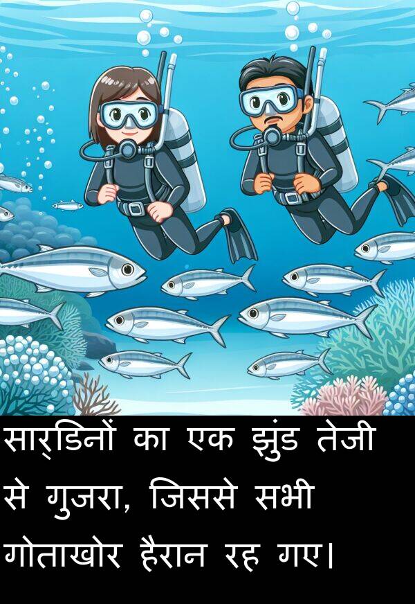 गोताखोर: सार्डिनों का एक झुंड तेजी से गुजरा, जिससे सभी गोताखोर हैरान रह गए।