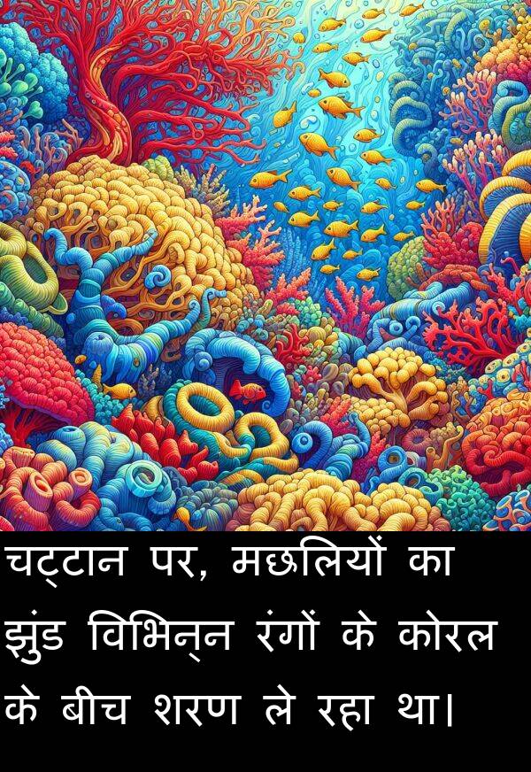 पर: चट्टान पर, मछलियों का झुंड विभिन्न रंगों के कोरल के बीच शरण ले रहा था।