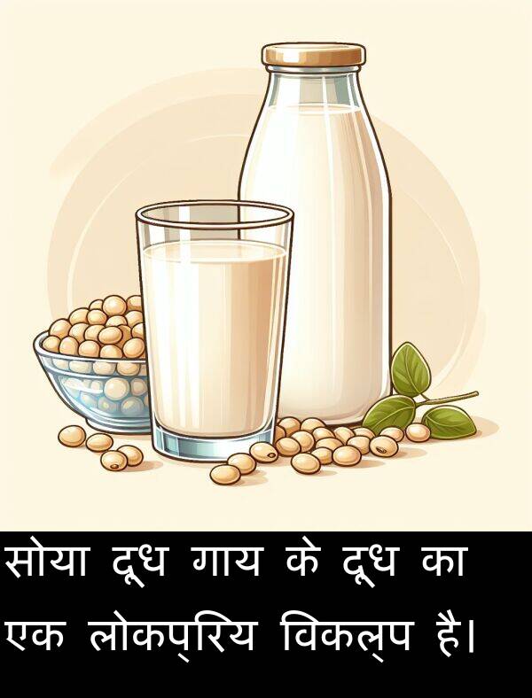 लोकप्रिय: सोया दूध गाय के दूध का एक लोकप्रिय विकल्प है।