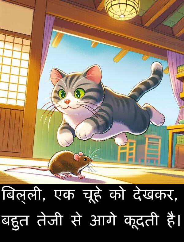आगे: बिल्ली, एक चूहे को देखकर, बहुत तेजी से आगे कूदती है।