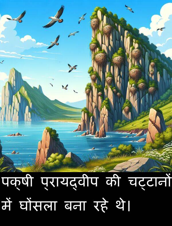 रहे: पक्षी प्रायद्वीप की चट्टानों में घोंसला बना रहे थे।