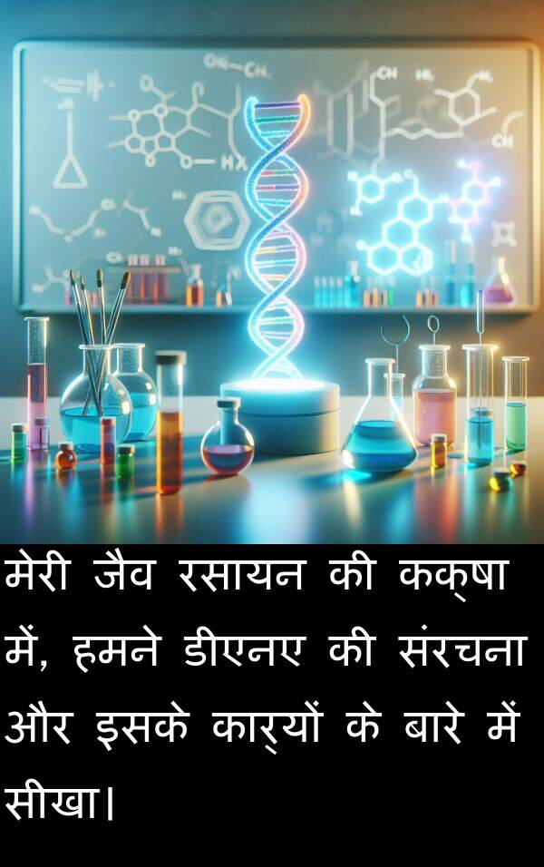 रसायन: मेरी जैव रसायन की कक्षा में, हमने डीएनए की संरचना और इसके कार्यों के बारे में सीखा।