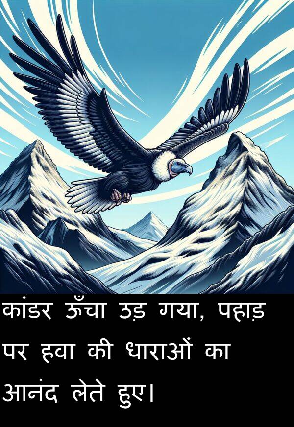 लेते: कांडर ऊँचा उड़ गया, पहाड़ पर हवा की धाराओं का आनंद लेते हुए।