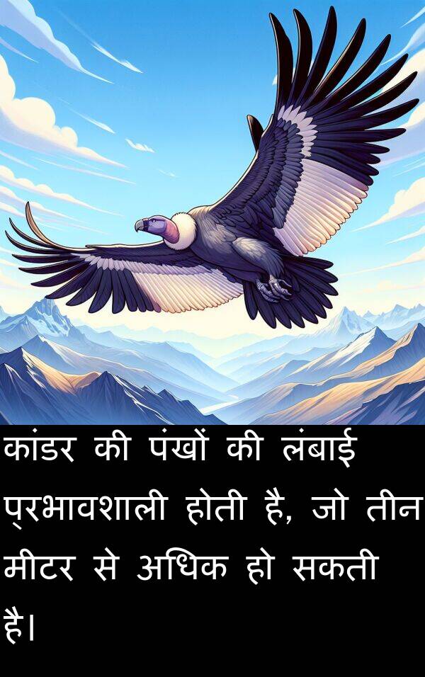 लंबाई: कांडर की पंखों की लंबाई प्रभावशाली होती है, जो तीन मीटर से अधिक हो सकती है।