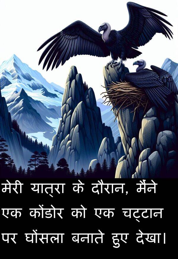 यात्रा: मेरी यात्रा के दौरान, मैंने एक कोंडोर को एक चट्टान पर घोंसला बनाते हुए देखा।