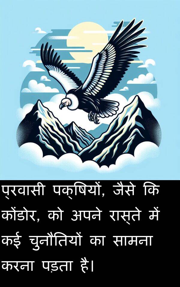 पड़ता: प्रवासी पक्षियों, जैसे कि कोंडोर, को अपने रास्ते में कई चुनौतियों का सामना करना पड़ता है।