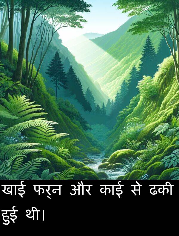 खाई: खाई फर्न और काई से ढकी हुई थी।