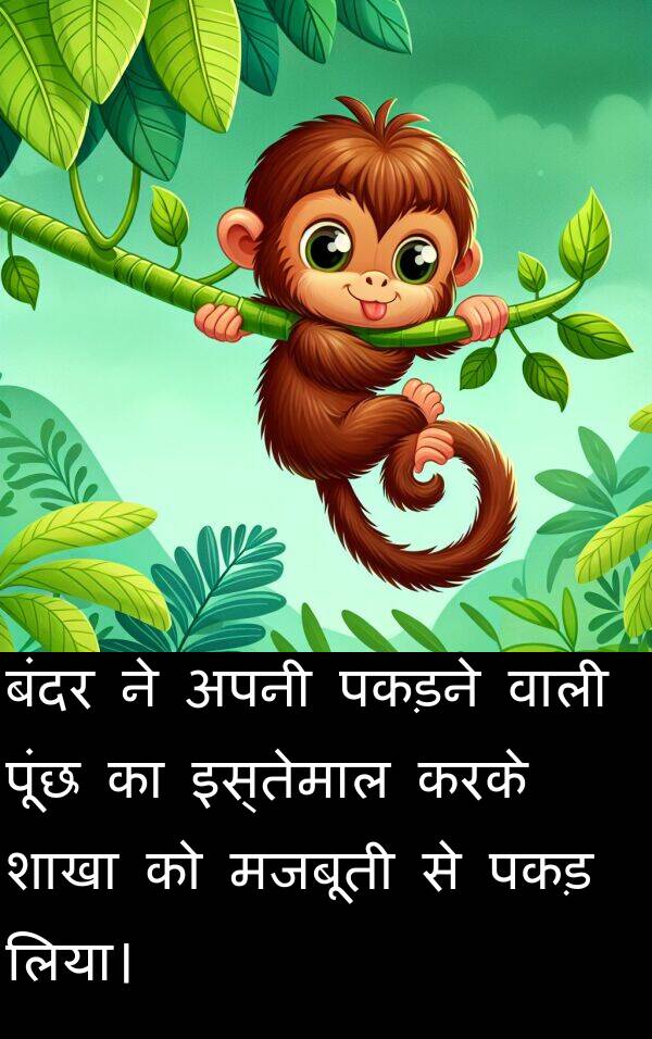 पकड़: बंदर ने अपनी पकड़ने वाली पूंछ का इस्तेमाल करके शाखा को मजबूती से पकड़ लिया।
