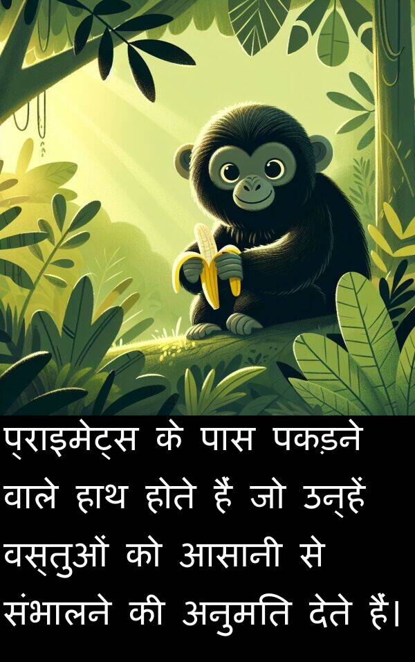 वस्तुओं: प्राइमेट्स के पास पकड़ने वाले हाथ होते हैं जो उन्हें वस्तुओं को आसानी से संभालने की अनुमति देते हैं।