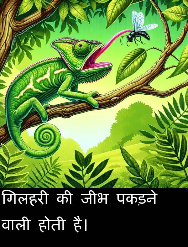 गिलहरी: गिलहरी की जीभ पकड़ने वाली होती है।