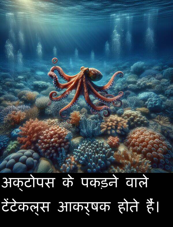 आकर्षक: अक्टोपस के पकड़ने वाले टेंटेकल्स आकर्षक होते हैं।
