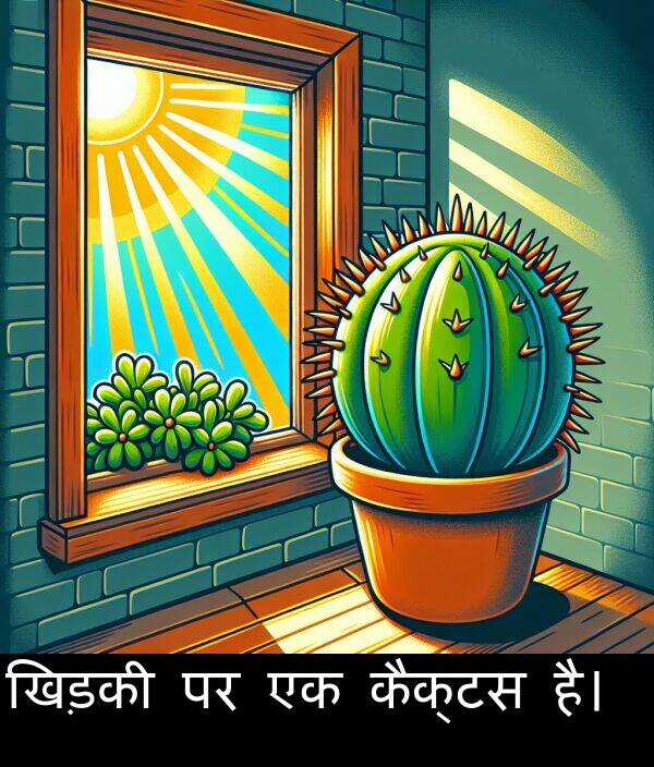 है।: खिड़की पर एक कैक्टस है।
